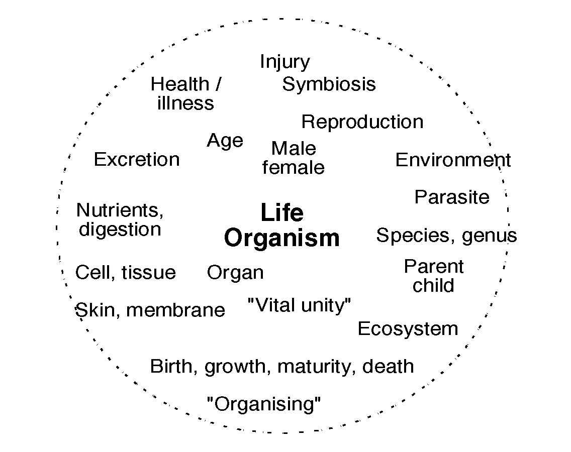 The organic / biotic aspect and some of its constellation